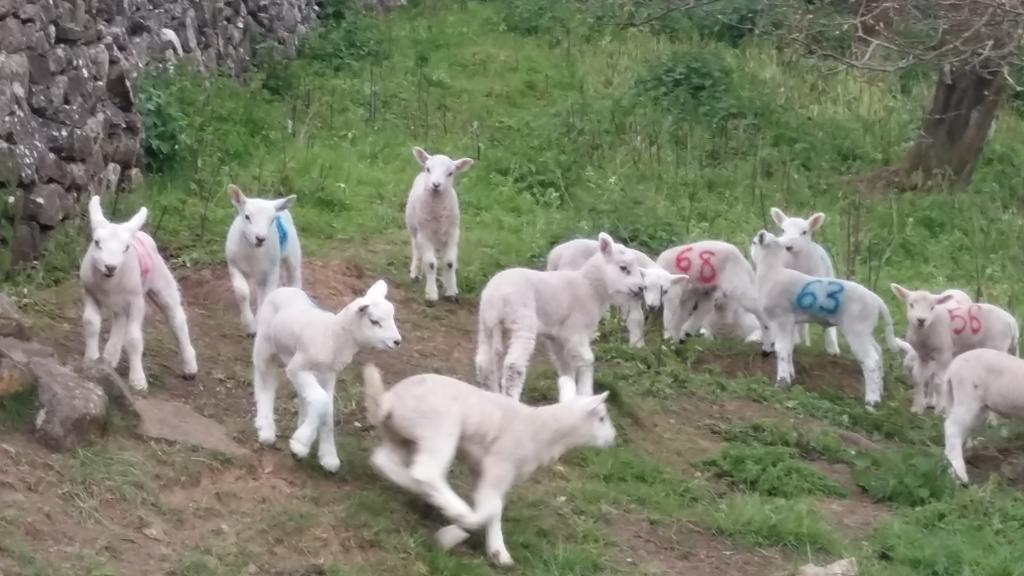 شقة Bishops Farm ثورنبوري المظهر الخارجي الصورة